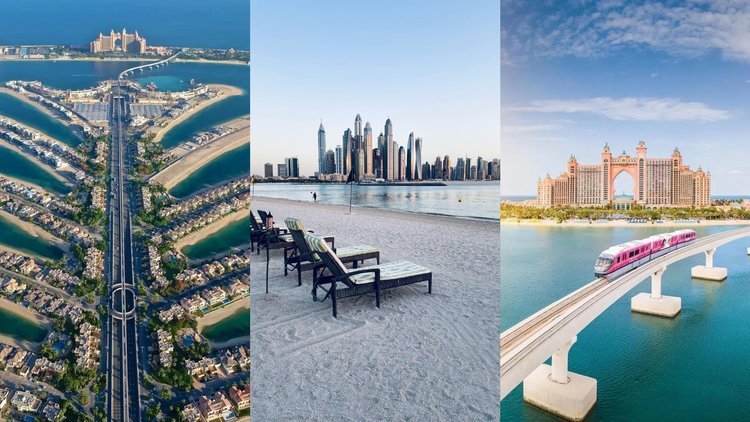 Movers and Packers in Palm Jumeirah